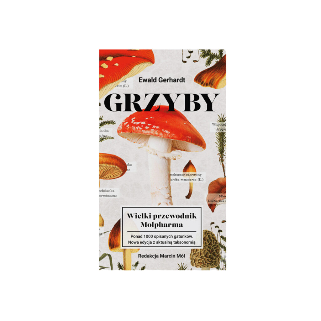 grzyby